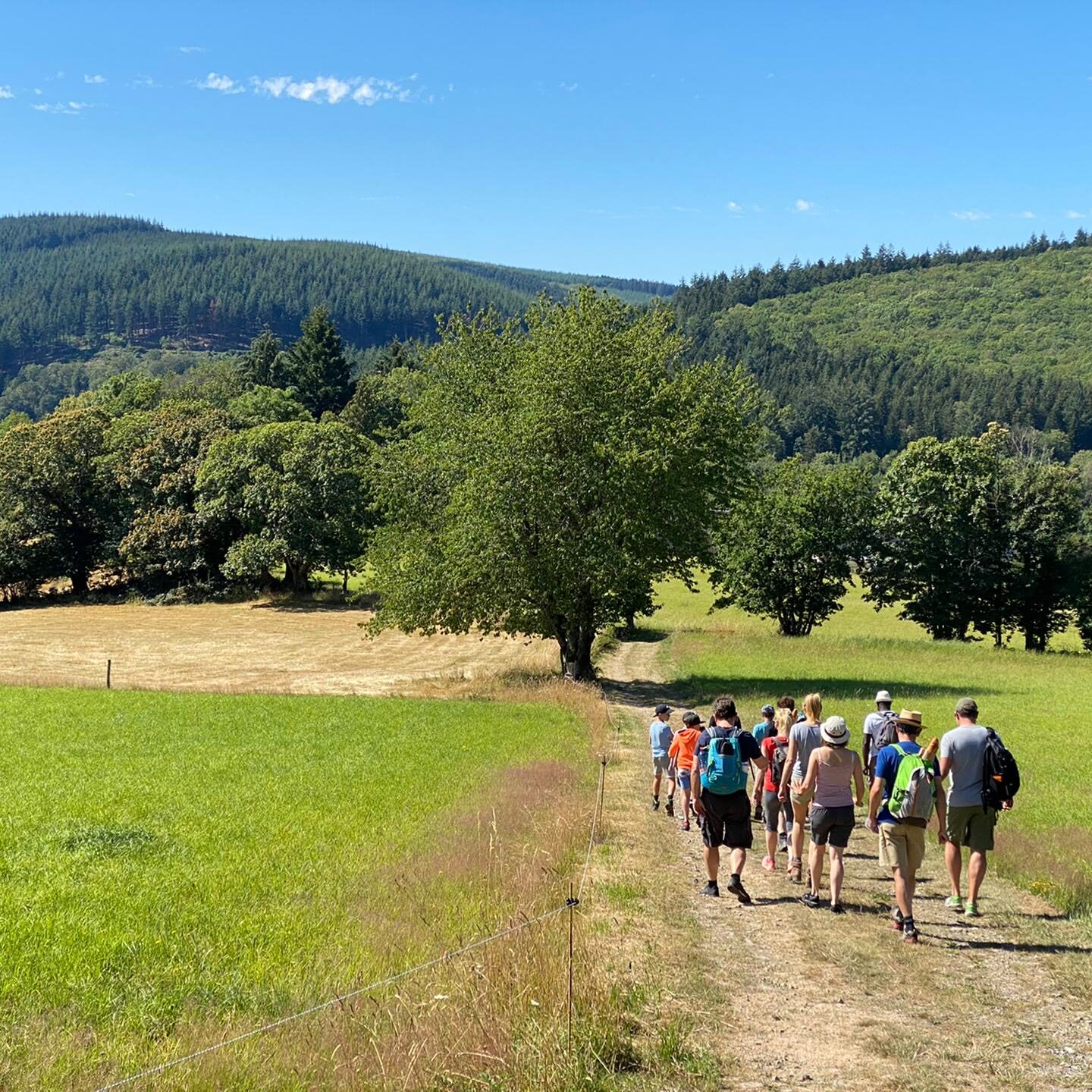 Wandelen zandpad groep 1d4c657d-22f2-4e12-ad9f-49cd8e988a2f